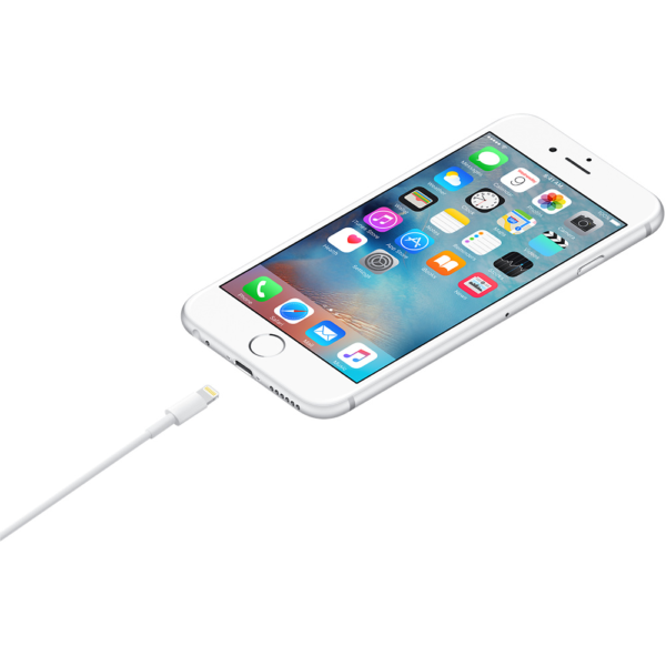 Apple Lightning to USB Cable